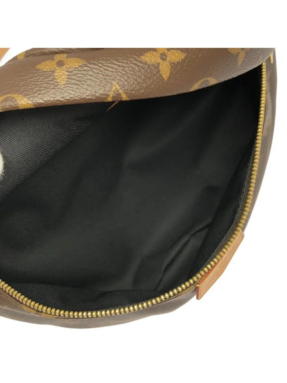 Louis Vuitton Monogram Bum